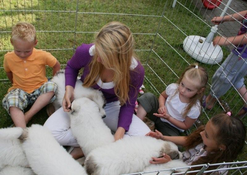 Jamie, Silvana, Zoë en Kaydee met pupjes 